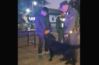 El momento del operativo