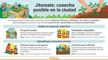 Infografía con el título Jitomate: cosecha posible en la ciudad e ilustraciones de huertos en azoteas, macetas en balcones y personas cultivando.