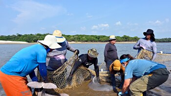 Exámenes médicos y GPS para