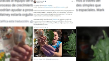 Una mujer sonriente con cabello rizado sostiene una hoja verde grande. A la derecha, una planta de hojas verdes. Fondo difuso de interior
