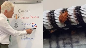 Alejandro Macias afirmó que las