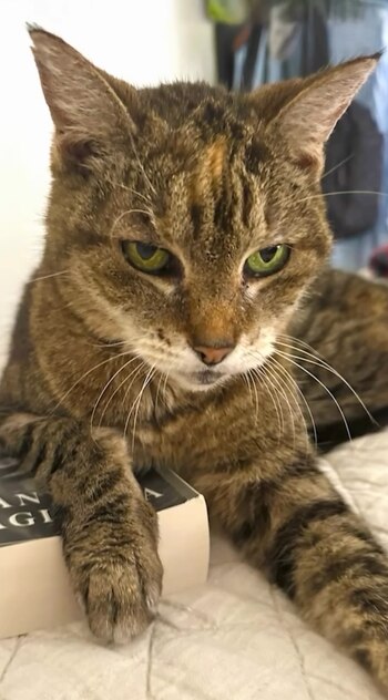 Jaime Bayly se quebró al