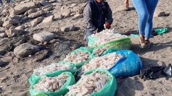 Vacunas contra la influenza halladas en playa Oquendo en Callao.