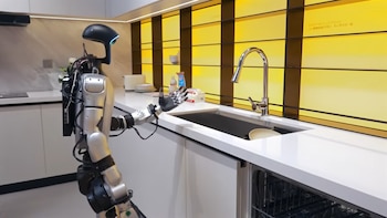 Crean robots que piensan y actúan para ayudar a personas en hogares y hospitales