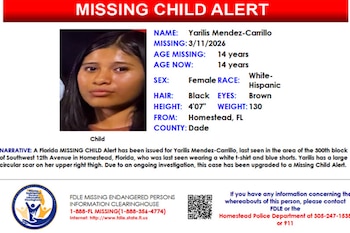 Cartel de Alerta de Niño Desaparecido en Florida con foto de Yarilis Mendez-Carrillo y detalles de su descripción e información de contacto