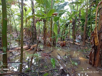 Foto: Indígena Tvdigital / Facebook