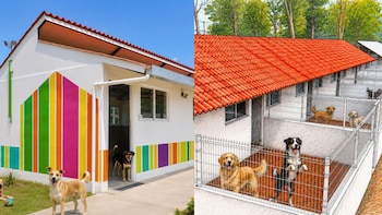 Inauguran centro animal más grande de México: buscan rescatar, rehabilitar y alimentar a mascotas abandonadas