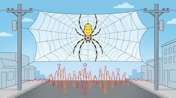 Ilustración de araña Joro amarilla en telaraña gigante entre postes eléctricos urbanos. Ondas de sonido rojas y naranjas suben de la calle. Corazón rojo en su abdomen.