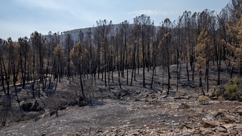 El incendio de La Mierla sigue sin estar estabilizado aún y los esfuerzos se centran en el sector noroeste