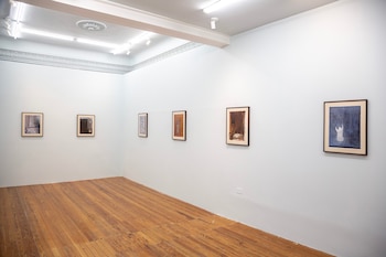 Carlos Cima - Constitución