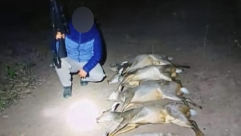 Caza furtiva en Tucumán: detuvieron