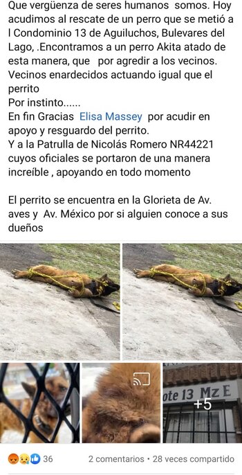 El caso se difundió por