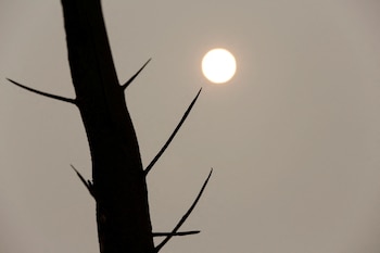 Concepción cuenta con un clima