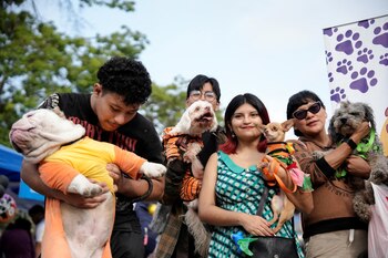 Pet owners hold their dogs