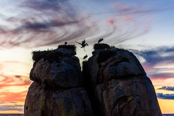 La colonia de cigüeña blanca sobre rocas de Los Barruecos. (Ayuntamiento de Malpartida de Cáceres)
