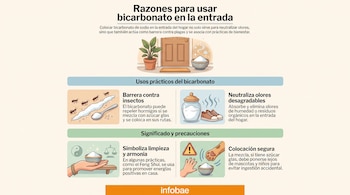 Infografía sobre el uso de bicarbonato de sodio. Muestra puerta, hormigas, cuencos con polvo, zapatos, manos, pata de animal y símbolos de limpieza y seguridad.