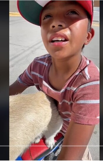 Se desconoce la identidad del