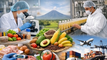 “Las exigencias son rigurosas”: COEXPORT impulsa la inocuidad para que empresas salvadoreñas accedan a más mercados