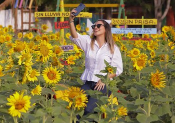 Un estudio revela que el