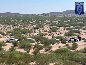 Las autoridades encontraron diversos restos óseos sin la extremidad superior Foto: Agencia de Investigación Criminal
