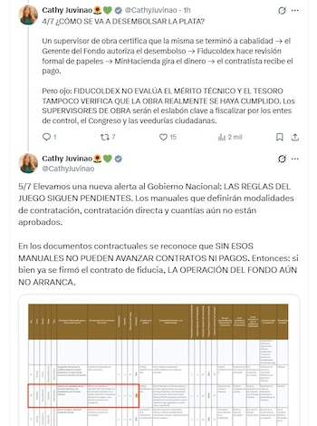 Cathy Juvinao llamó la atención sobre las facultades asignadas al gerente del fondo y sobre el nivel de decisión que tendría dentro de la ejecución de los proyectos - crédito @CathyJuvinao/X