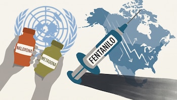 Estrategia de Sheinbaum está funcionando: ONU destaca disminución de muertes en Norteamérica por sobredosis de fentanilo