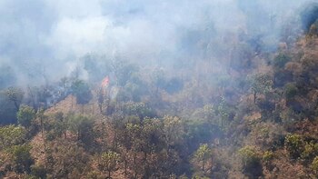 La Semadet destacó este viernes