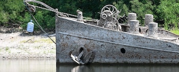 Una garza se encuentra en