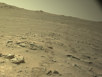 13/10/2026 Imagen de Marte del rover Perseverance
SOCIEDAD
NASA