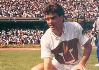 Luis García llegó a España