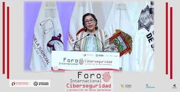 La comisionada del INAI, Josefina