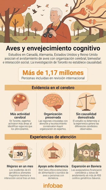 Ilustración de un hombre mayor con binoculares en un bosque y secciones con textos, cifras e iconos sobre el cerebro y comederos de aves.