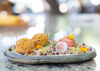 “Altiplano”, una entrada ideal para