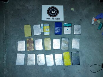 La PSA secuestró 21 kilos