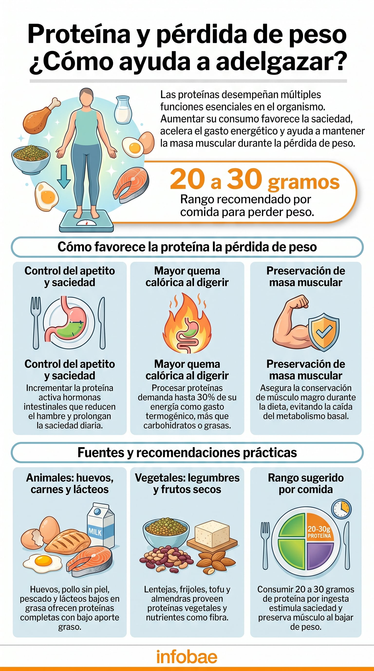 Una dieta alta en proteína aumenta la saciedad porque activa hormonas intestinales como GLP-1, CCK y PYY, y reduce la grelina (Imagen Ilustrativa Infobae)