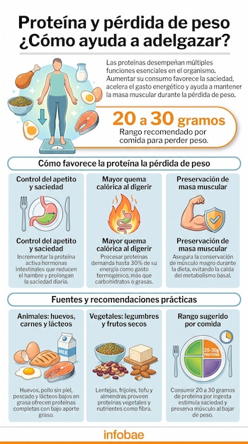 Infografía que muestra una persona en una balanza y varios alimentos ricos en proteína como pollo, huevos, salmón, leche, legumbres y tofu. Incluye diagramas sobre control del apetito, quema calórica y preservación muscular.