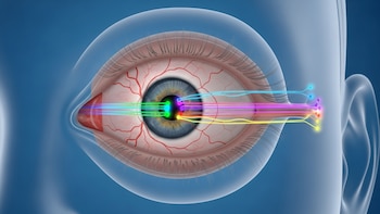 Cómo un experimento y un vestido viral pusieron en duda la percepción humana del color