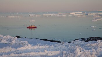 El descubrimiento pone en duda