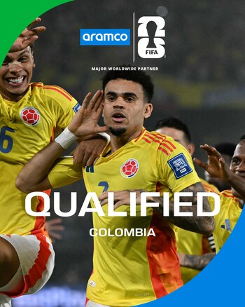 La clasificación de la selección