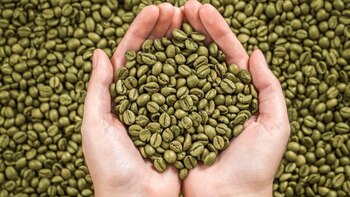Qué es el café verde