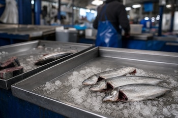 Tres pescados enteros y cortes en rodajas descansan sobre hielo picado en bandejas de metal en un puesto con un vendedor al fondo.