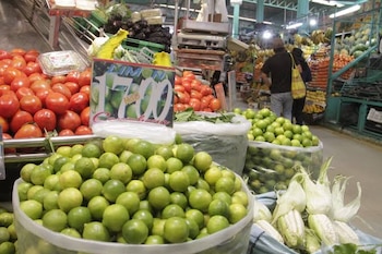Las proyecciones para el próximo verano advierten que los efectos podrían ser más severos que en ocasiones anteriores.