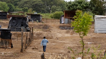 La mitad de las tierras