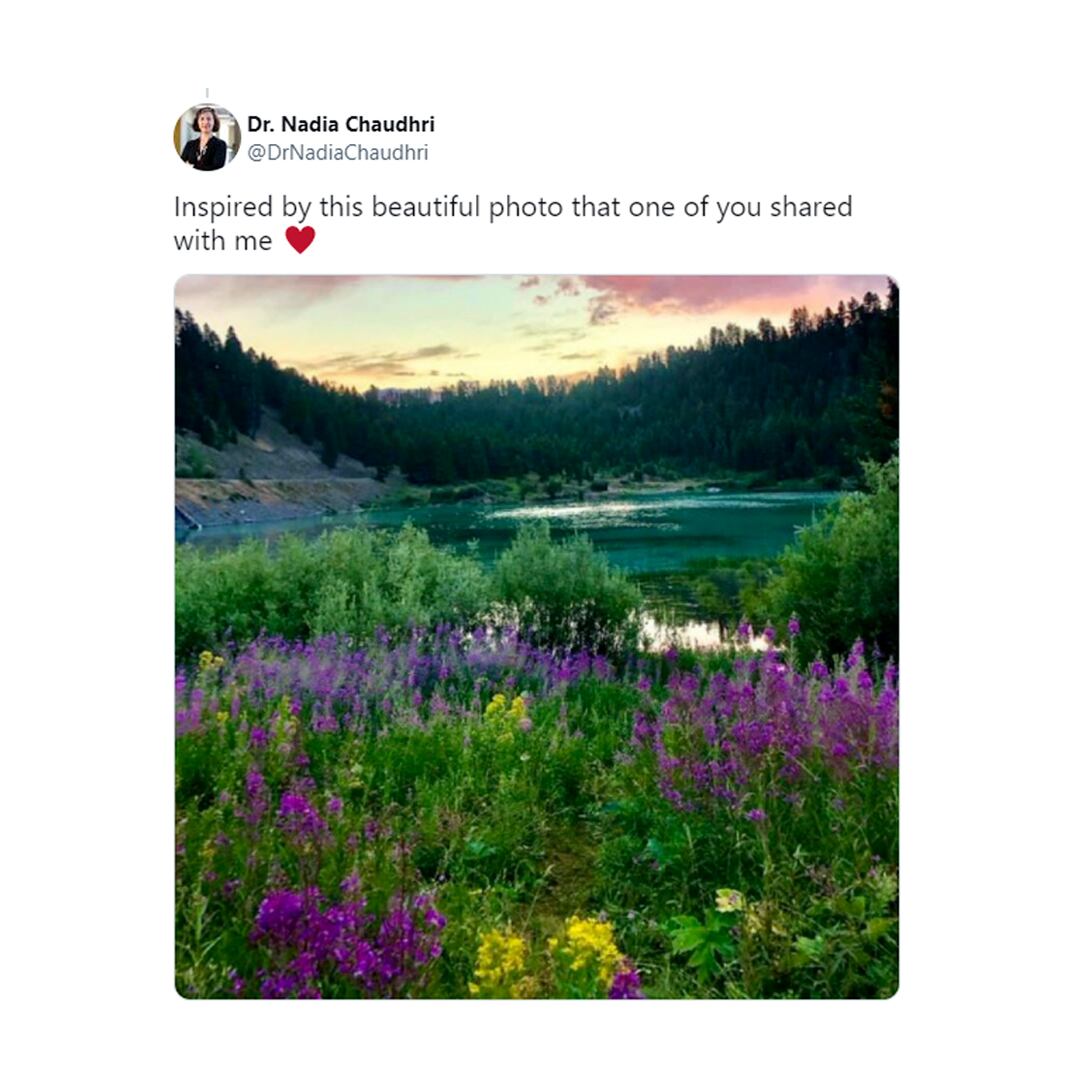 En su cuenta en Twitter, Nadia Chaudhri cuenta cómo vive con su enfermedad y comparte las pinturas que hace a partir de fotos de los seguidores