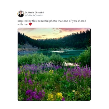 En su cuenta en Twitter,