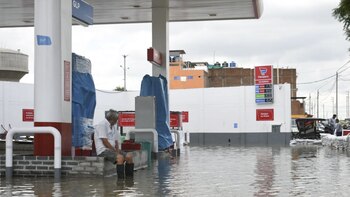 El fenómeno no son las