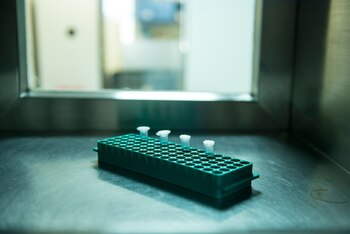 La evaluación publicada en la