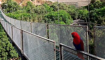 El Aviario tiene más de