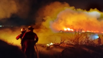 Un total de seis cuerpos