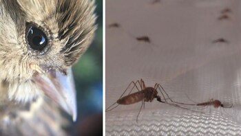 01/01/1970 A la izquierda uno